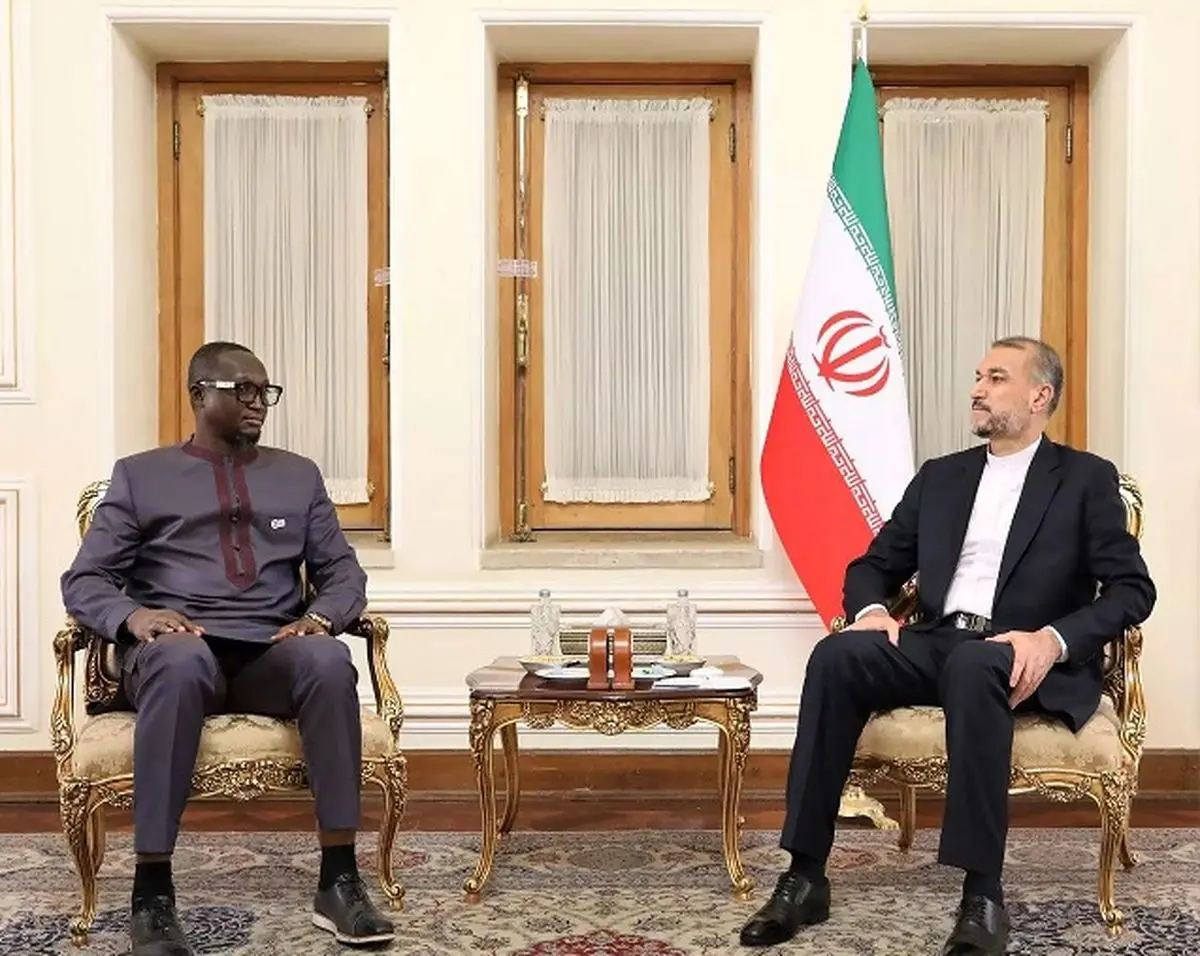 Iran FM meets Central Africas Minister for Small and Medium-sized Enterprises