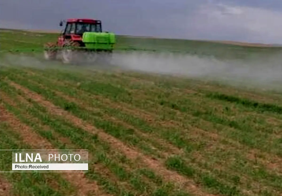 بیش از 13 هکتار از اراضی کشاورزی قزوین زیر کشت جو رفت
