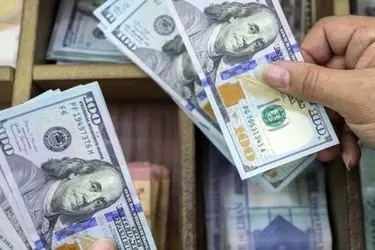 کارگروه بازگشت ارز، مسئول اعلام فهرست عدم رفع تعهد ارزی است