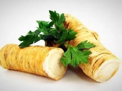 ترب کوهی و شربت آن چیست و چه خواصی دارد؟