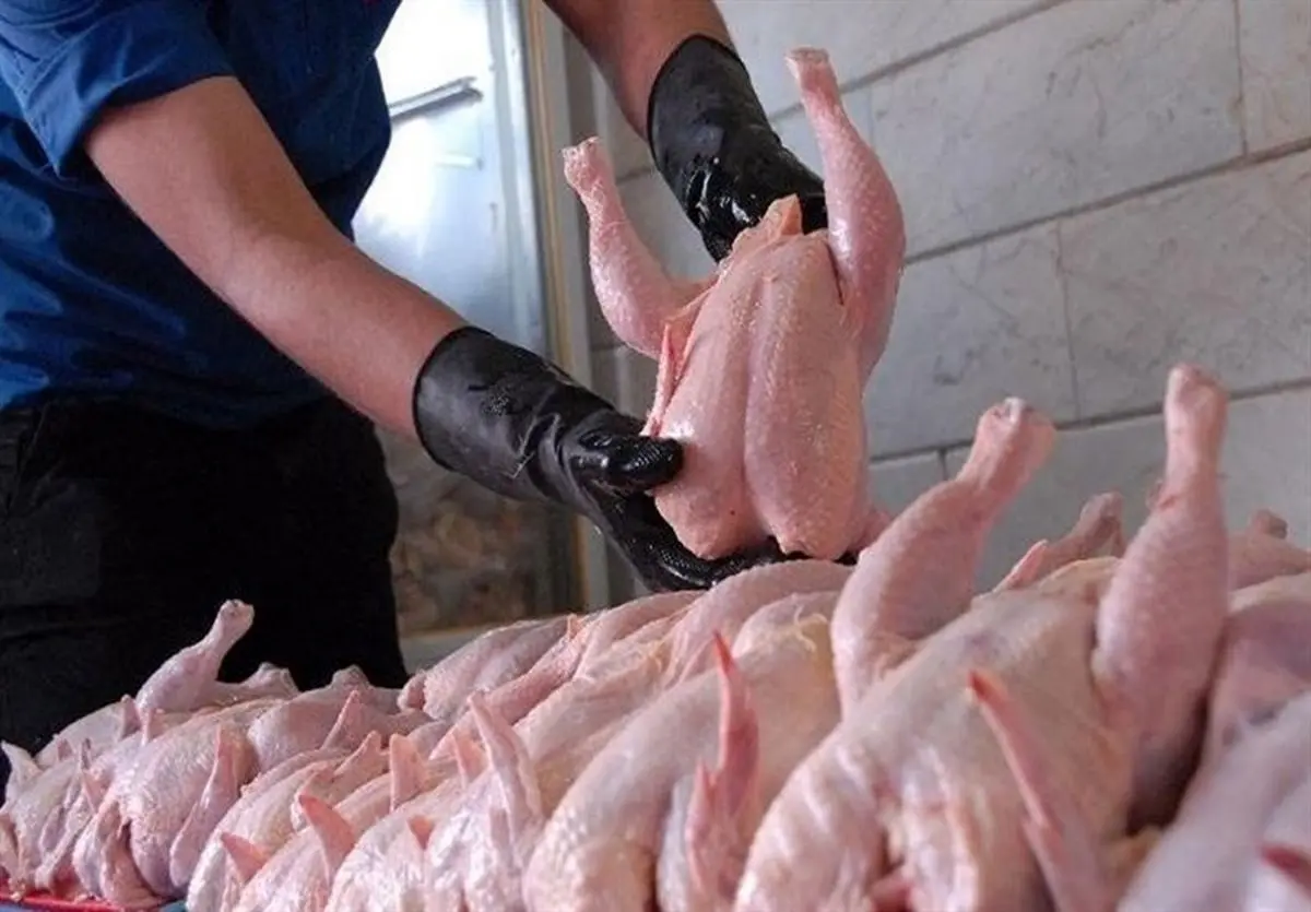 گوشت مرغ به اندازه کافی در کشور تولید می‌شود/ قمیت مرغ متاثر از وضعیت کلی اقتصاد و قیمت نهاده‌های تولید است/ بخشی از افزایش قیمت توسط واسطه‌ها اتفاق می‌افتد و مرغداران بی‌تقصیرند