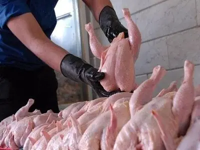 گوشت مرغ به اندازه کافی در کشور تولید می‌شود/ قمیت مرغ متاثر از وضعیت کلی اقتصاد و قیمت نهاده‌های تولید است/ بخشی از افزایش قیمت توسط واسطه‌ها اتفاق می‌افتد و مرغداران بی‌تقصیرند