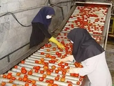صدور جواز تاسیس برای احداثسه واحد صنایع تبدیلی بخش کشاورزی