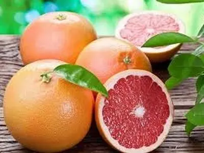 تاثیر شگفت انگیز گریپ فروت برای لاغری! 