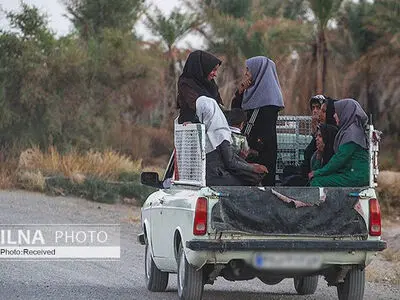 سرویس‌های دانش‌آموزی رسمی امسال فقط ۲ کشته داشتند/ به خودروهای استاندارد نیاز داریم