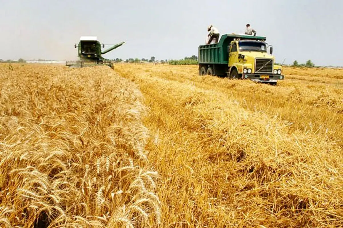 تلاش بیوقفه برای رفع مشکل تأمین مواد غذایی