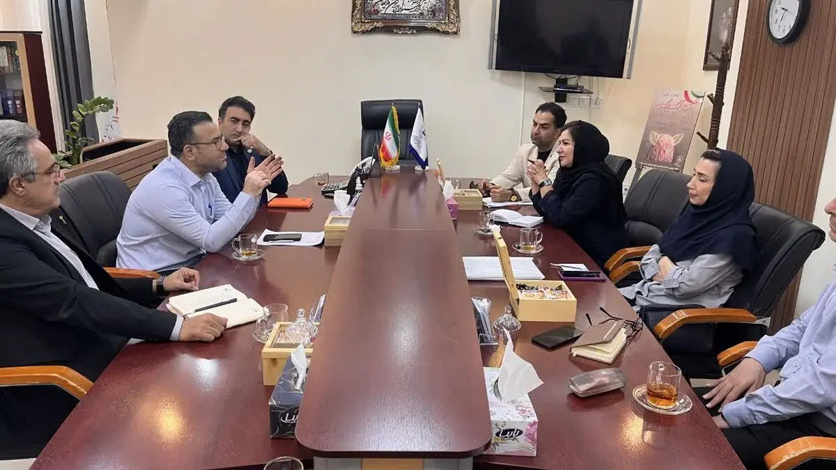 ظرفیت‌های سرمایه‌گذاری گردشگری فارس روی میز کارگروه مشترک میراث و سازمان همیاری