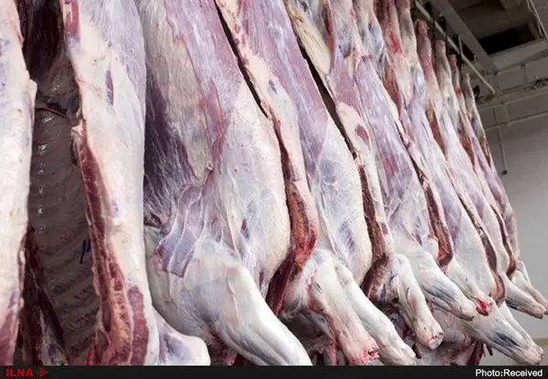افزایش بی رویه قیمت گوشت قرمز و جای خالی نظارت/مردم در خرید گوشت قرمز ناتوانند