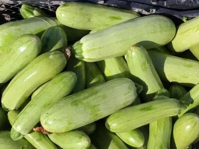 یک خوردنی کم‌کالری برای کاهش نفخ