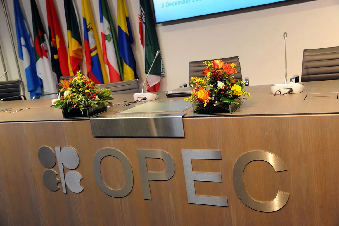 تغییر در برنامه عرضه نفت اوپک‌پلاس دور از انتظار است