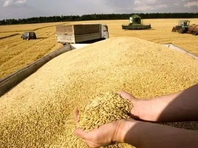پرداخت ۷۴ درصد از مطالبات گندمکاران کشور