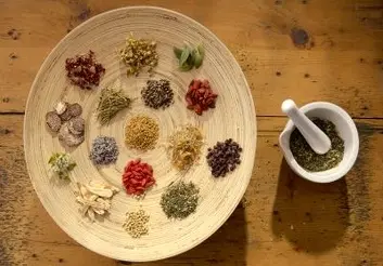 پیشنهاد معرفی گیاهان دارویی به وزارت بهداشت داده شد/ مصرف گیاهان دارویی در کشور رو به افزایش است