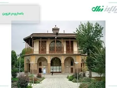شهرهای مشهد، تهران، قزوین و میاندوآب چه نوع نهال هایی را برای کاشت پوشش می‌دهند؟