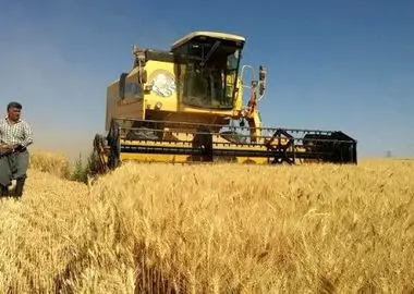 ۹۵ درصد مطالبات گندمکاران پرداخت شد