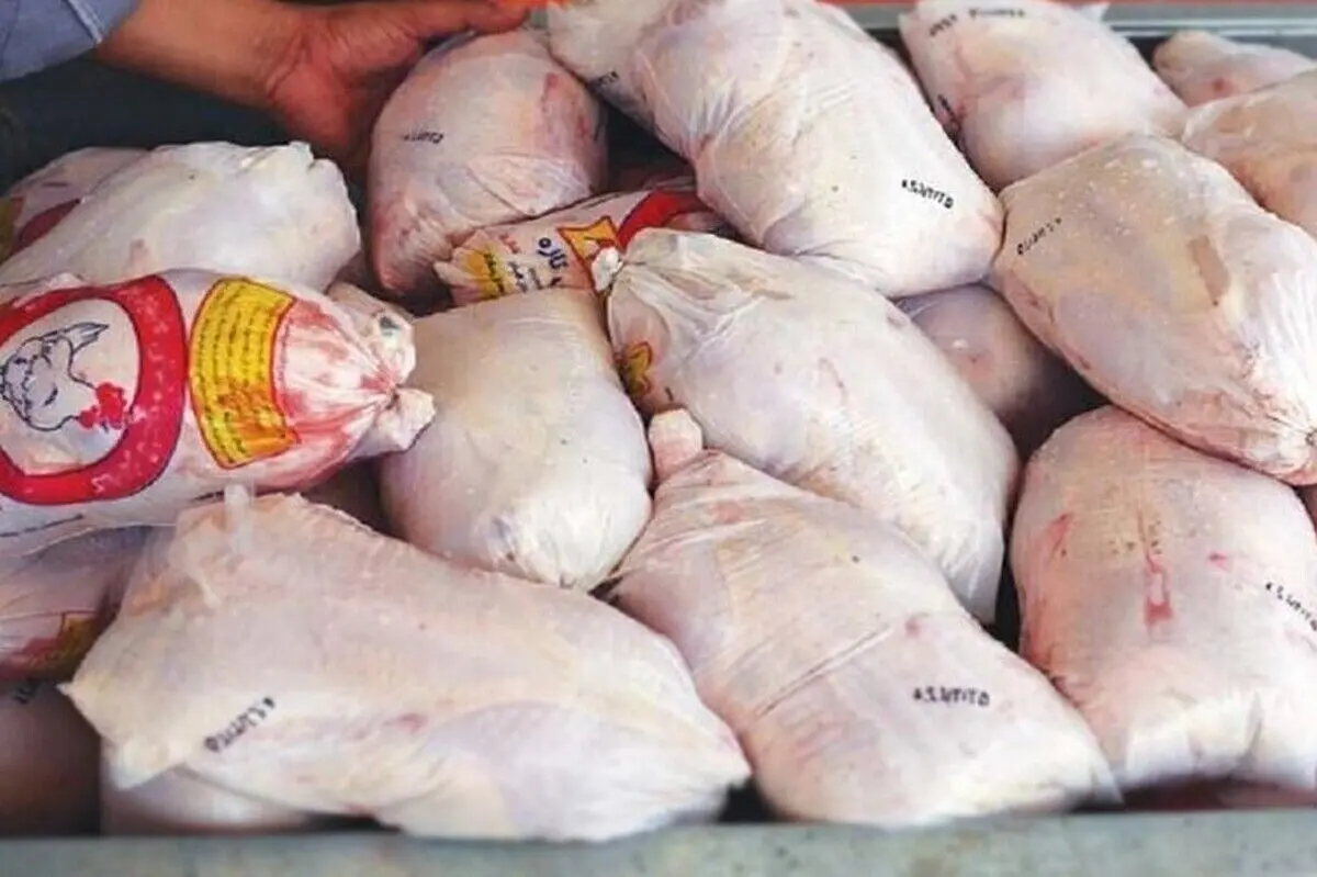 کشف 105 تن گوشت مرغ منجمد تاریخ مصرف گذشته در شهرستان مشهد
