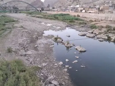 سونامی برنج کاری روی سرشاخه های «دِز» / بهره کشی های آبی، جان «کَشکان» را گرفت