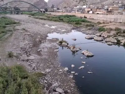 سونامی برنج کاری روی سرشاخه های «دِز» / بهره کشی های آبی، جان «کَشکان» را گرفت