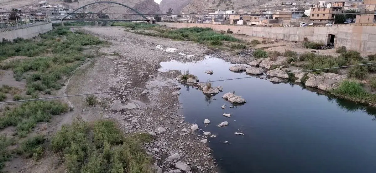 سونامی برنج کاری روی سرشاخه های «دِز» / بهره کشی های آبی، جان «کَشکان» را گرفت