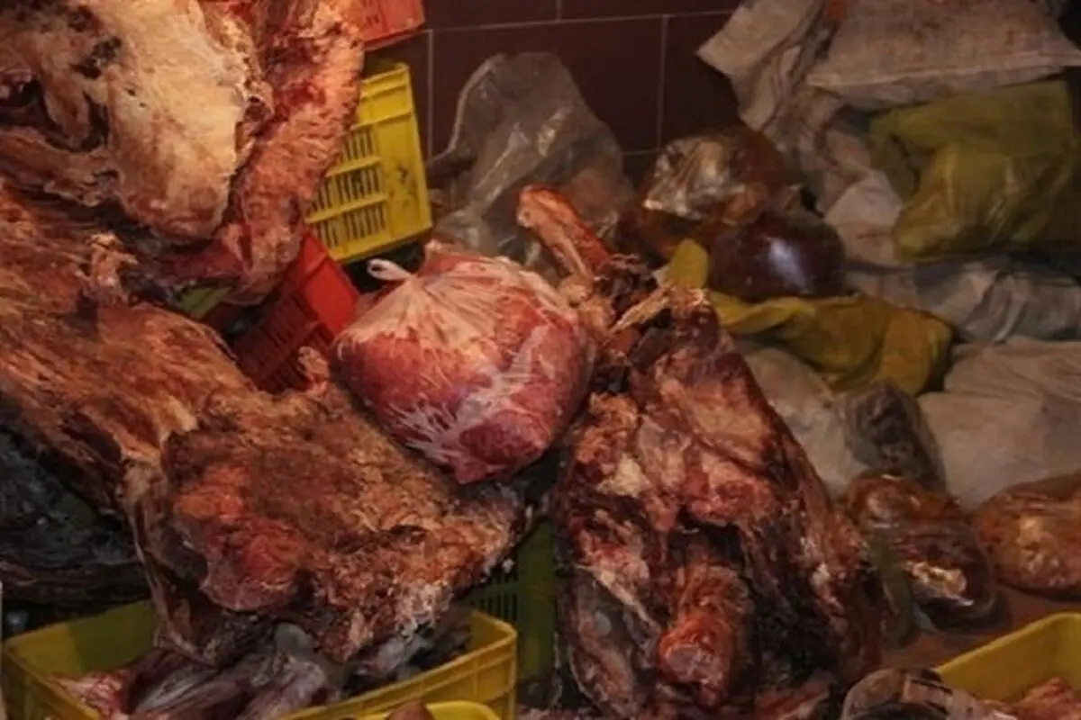 جمع آوری بیش از 600 کیلو گرم انواع مواد غذایی فاسد در بردسکن