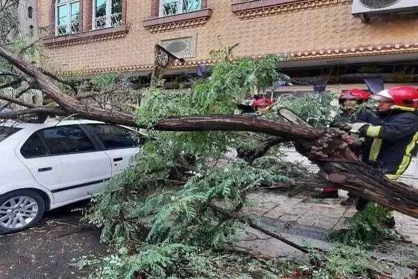 وقوع 15 مورد حادثه ناشی از وزش تندباد در اراک 