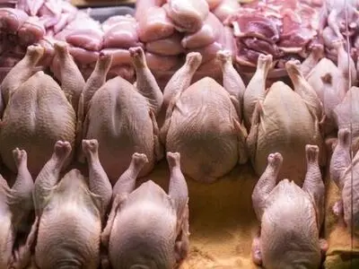 قیمت گوشت مرغ امروز ۱۲ اردیبهشت ۱۴۰۳ 