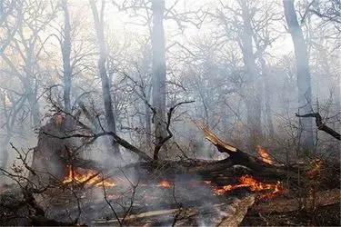 چهار هکتار از باغات حاشیه زنجانرود دچار آتش سوزی شد