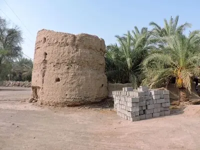 شناسایی ۷۷ محوطه و اثر تاریخی در کرمان