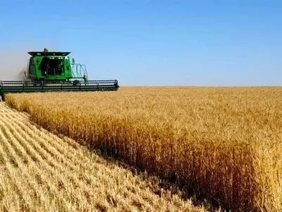 خرید ۸۵۰ هزار گندم از کشاورزان گلستانی