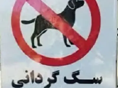 سگ گردانی در مازندران ممنوع شد
