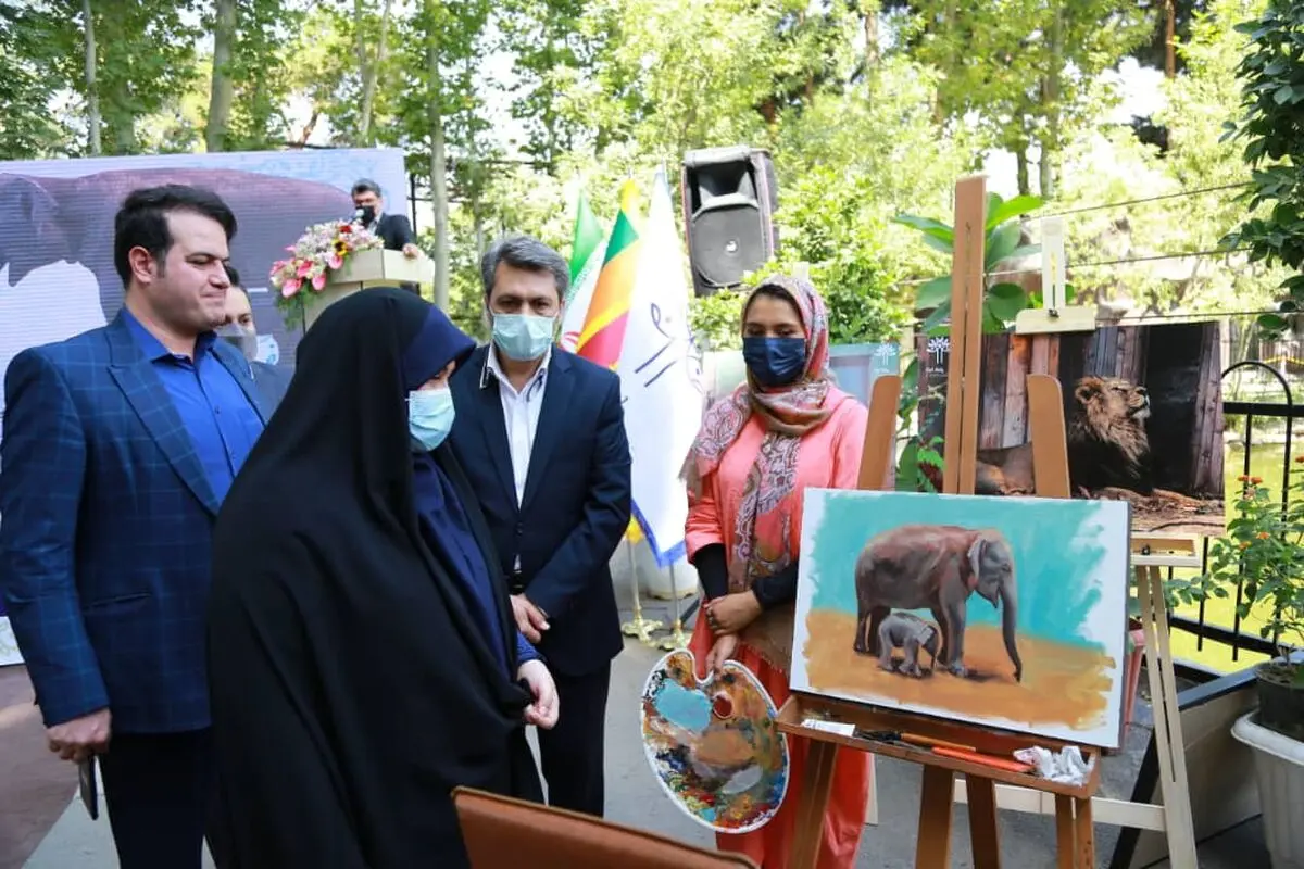 هیچ جای دنیا شامپانزه‌ها را در قفس نگهداری نمی‌کنند