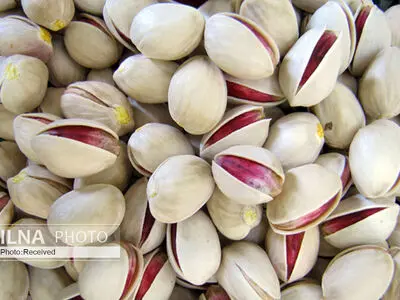  Iran Exports €67 Million of Pistachios to Europe in 9-Month Period