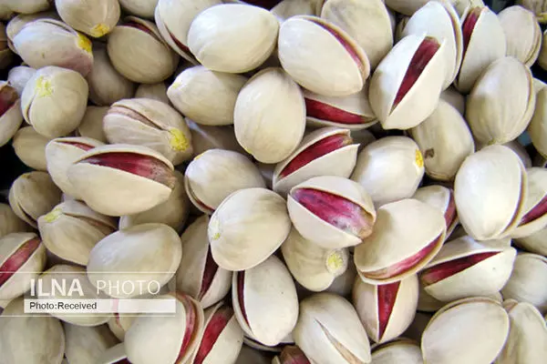 Iran 2nd largest exporter of pistachio to Europe