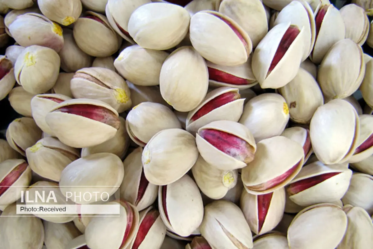 ارزآوری بیش از یک میلیارد دلاری محصول پسته برای کشور