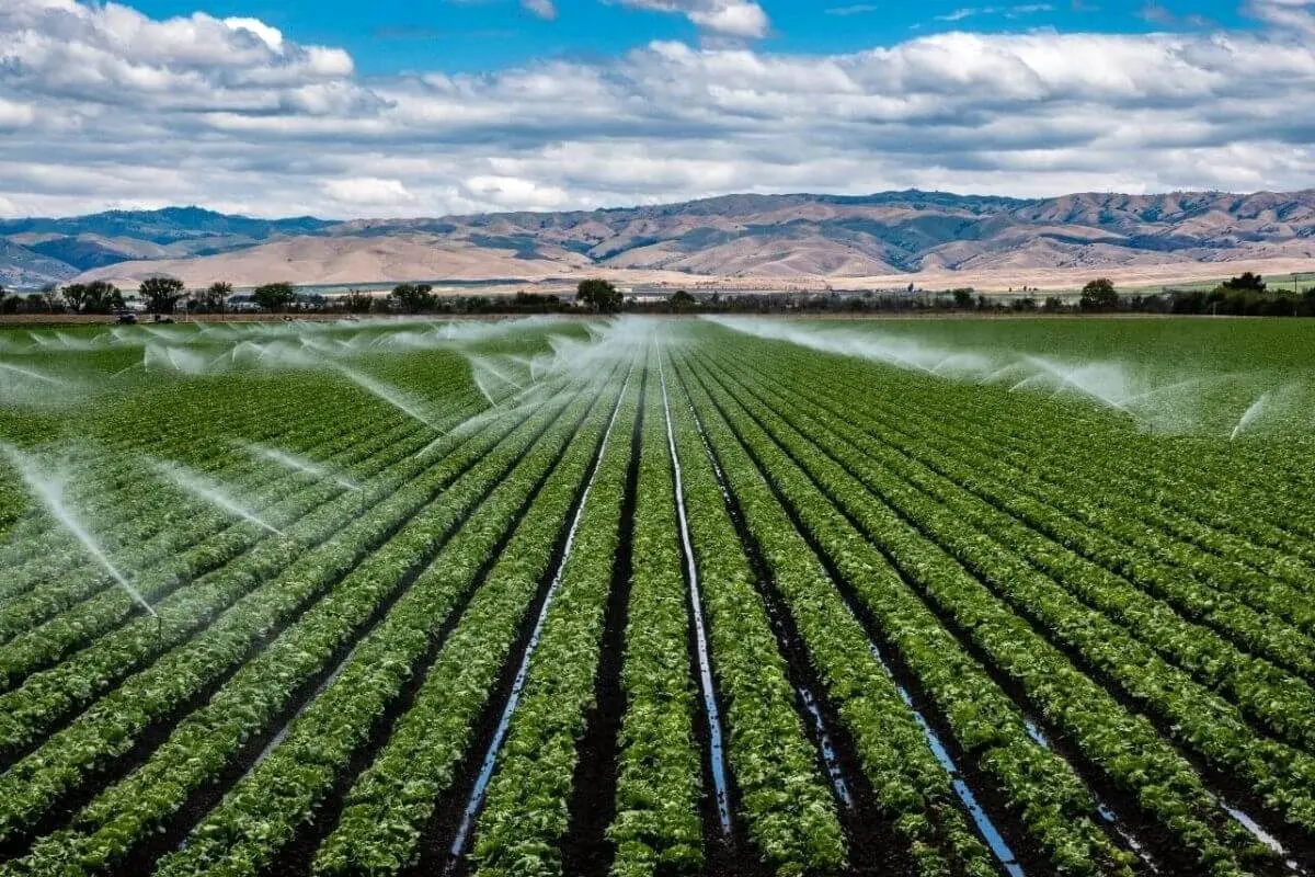 اجرای سریع آبیاری هوشمند در مزارع در دستور کار قرار گیرد
