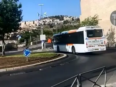 asdasd