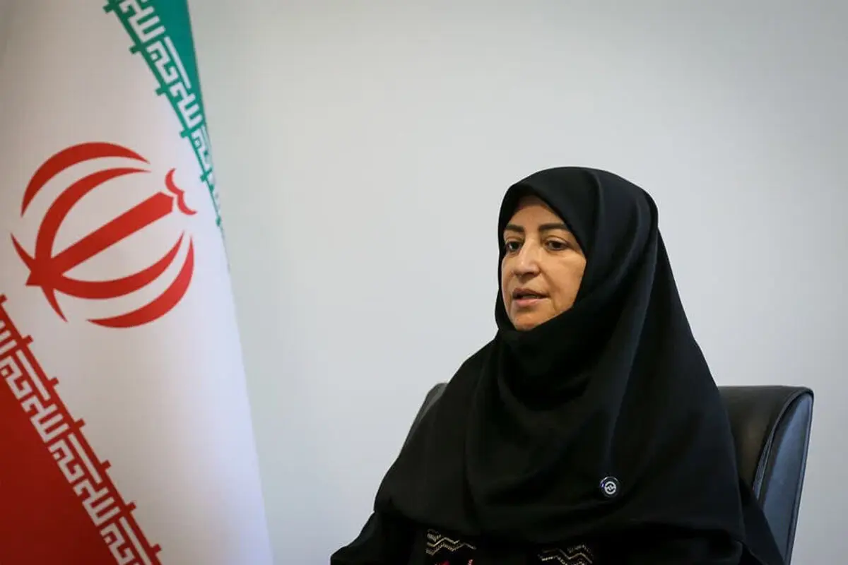حضور سازمان محیط زیست در اجلاس برزیل حداقلی بود