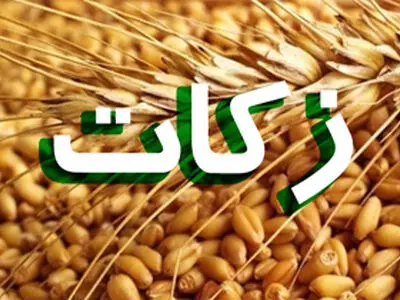 920 روستا زکات خود را به کمیته امداد اردبیل تحویل دادند