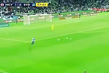 ویدئو: پرنده‌ای که از شلیکِ مرگبار به آسمان بازگشت