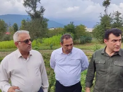 نیاز به ۱۸ هزار میلیارد تومان اعتبار برای اجرای طرح کاشت یک میلیارد درخت + عکس 