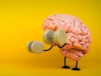 این ترکیب غذایی سبب تقویت مغز می‌شود