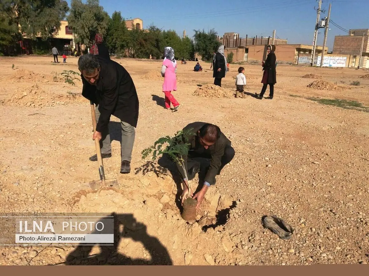 آغاز طرح زمستانه درختکاری با غرس نهال در شوشتر