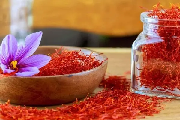 Get Premium Iranian Saffron at the Best Price from Tida Saffron