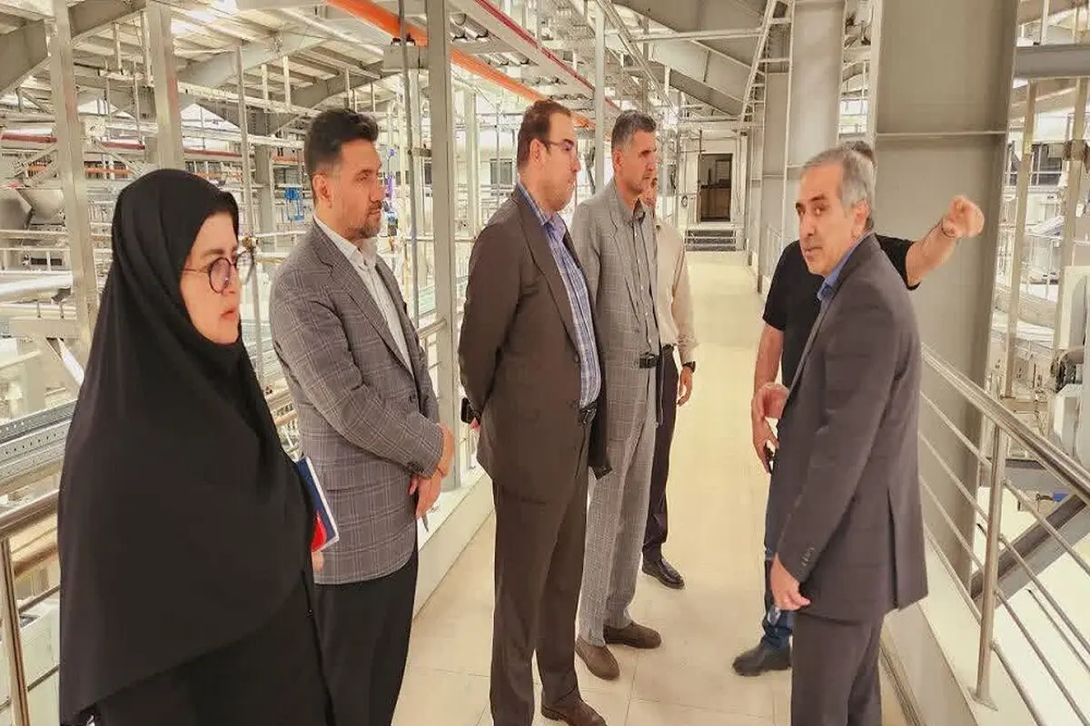معاون وزیر صمت از چند واحد تولیدی شهرک صنعتی کاسپین بازدید کرد