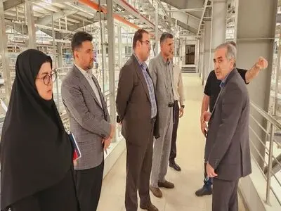 معاون وزیر صمت از چند واحد تولیدی شهرک صنعتی کاسپین بازدید کرد