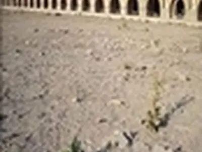 ژاپن آماده همکاری برای حل حوضه‌ی آبریز زاینده رود است