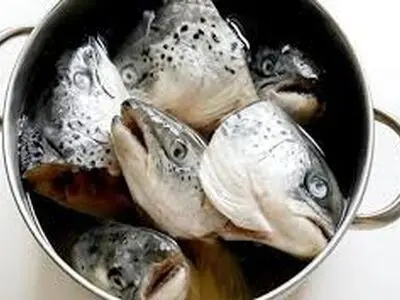 طرز تهیه سر ماهی خوشمزه تر از خود ماهی/فیلم