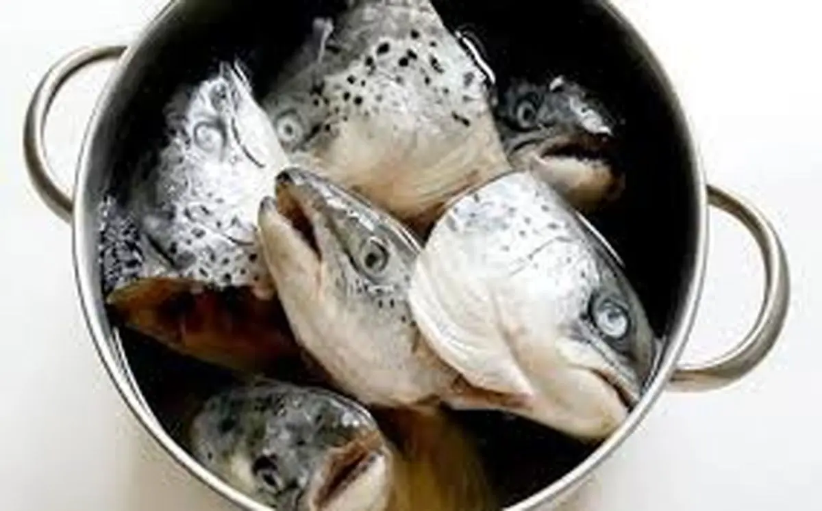 طرز تهیه سر ماهی خوشمزه تر از خود ماهی/فیلم