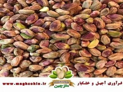 راهنمای جامع صادرات مغز پسته بهداشتی