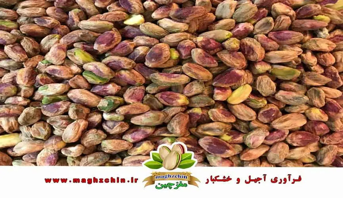 راهنمای جامع صادرات مغز پسته بهداشتی