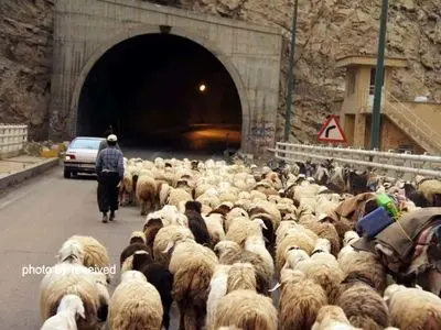 کوچ خیابانی عشایر در خوزستان، جاذبه یا معضل!+ تصاویر